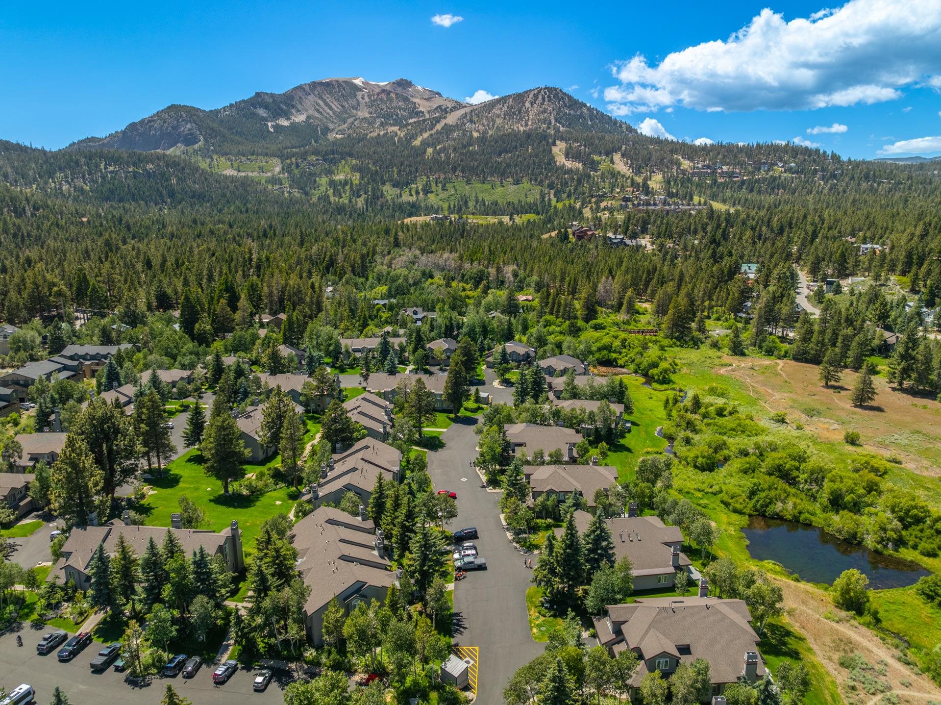609 Golden Creek Road, Unit 609 Mammoth Lakes, CA 93546 - Photo 3 of 42 Expansive mountain landscape featuring a cluster of residential properties, dense evergreen tree cov