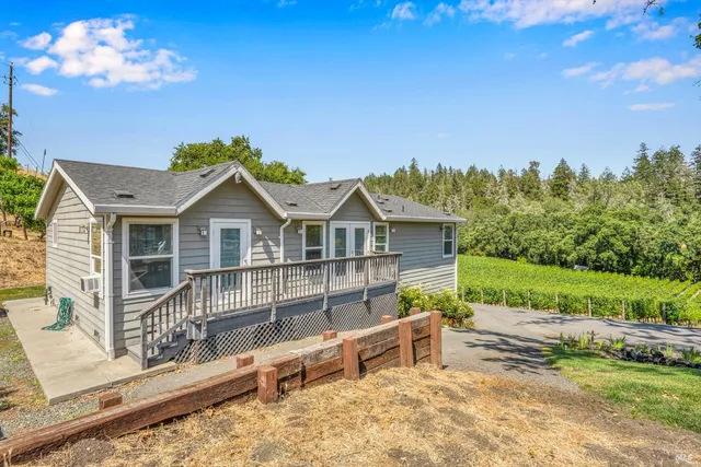 a view of a house with a yard and potted plants