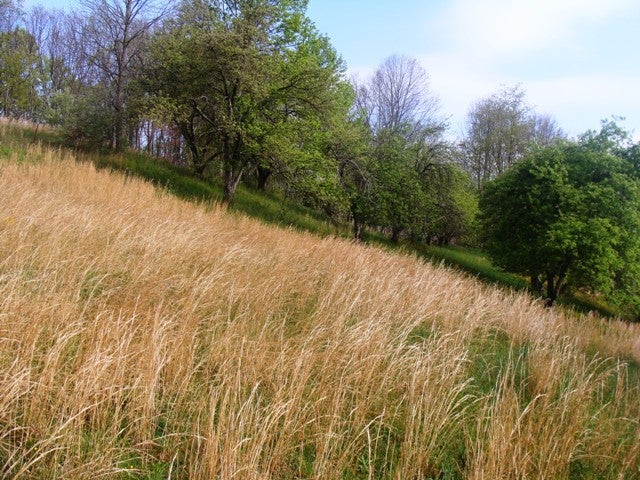 1372 Flat Top Road Shady Spring, WV 25918 - Photo 14 of 19 May 4th Auction, 12 noon Greene Estate