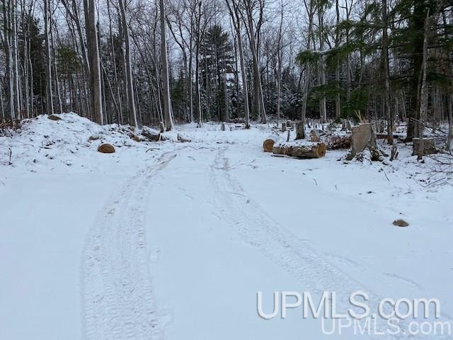 Tbd Tbd Northwoods Road Marquette, MI 49855 - Photo 23 of 31