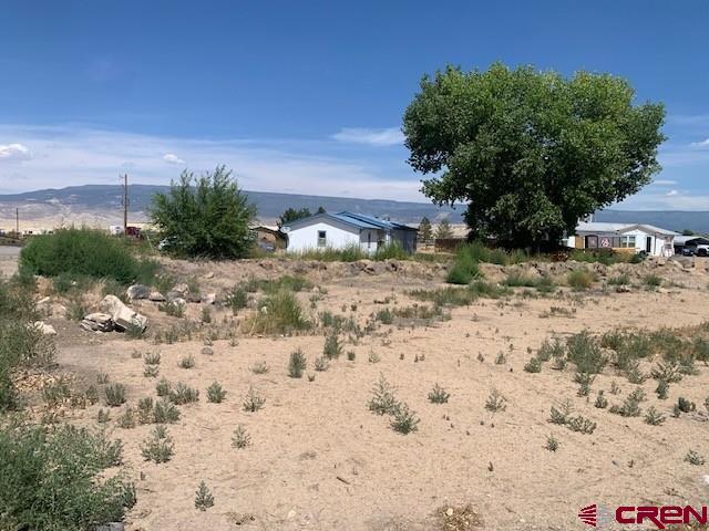 19922 Jay Road Austin, CO 81410 - Photo 11 of 14