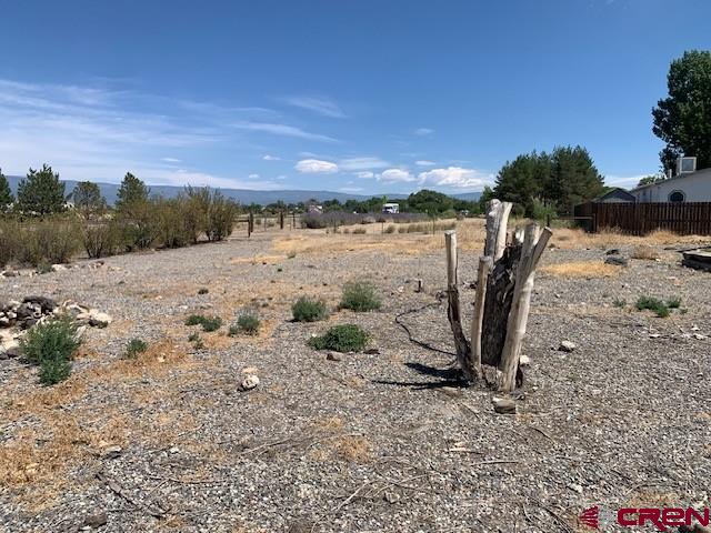 19922 Jay Road Austin, CO 81410 - Photo 12 of 14 a view of a dry yard with trees