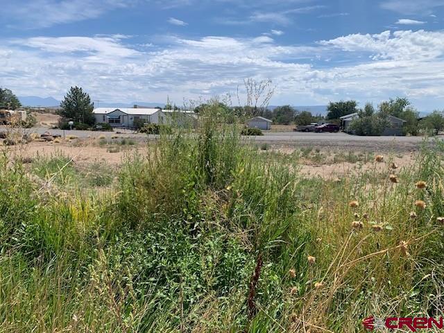 19922 Jay Road Austin, CO 81410 - Photo 13 of 14 a view of an outdoor space and a yard