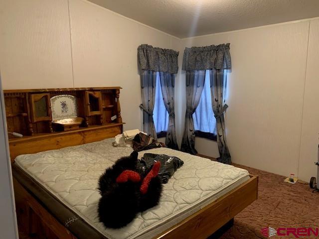 19922 Jay Road Austin, CO 81410 - Photo 6 of 14 a room with a bed and dresser