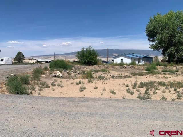 19922 Jay Road Austin, CO 81410 - Photo 10 of 14 a view of a dry yard with wooden fence