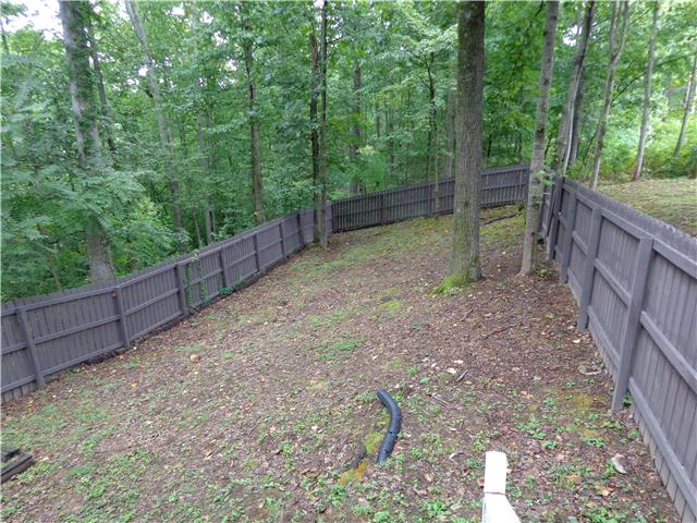 4651 Heath Road Nashville, TN 37221 - Photo 17 of 20 Fenced dog run