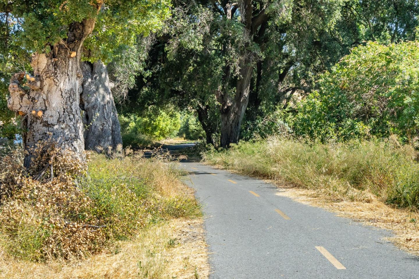 6936 Gregorich Drive, Unit E San Jose, CA 95138 - Photo 34 of 44 a view of a yard with plants and trees