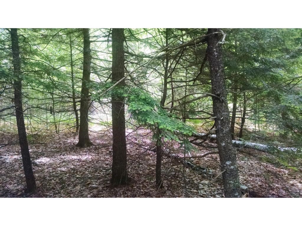 0 Harnden Road Denmark, ME 04022 - Photo 2 of 3