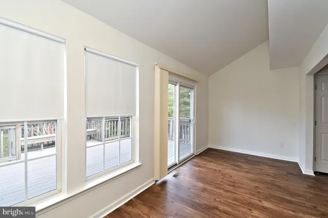 a view of a garden with plants and trees