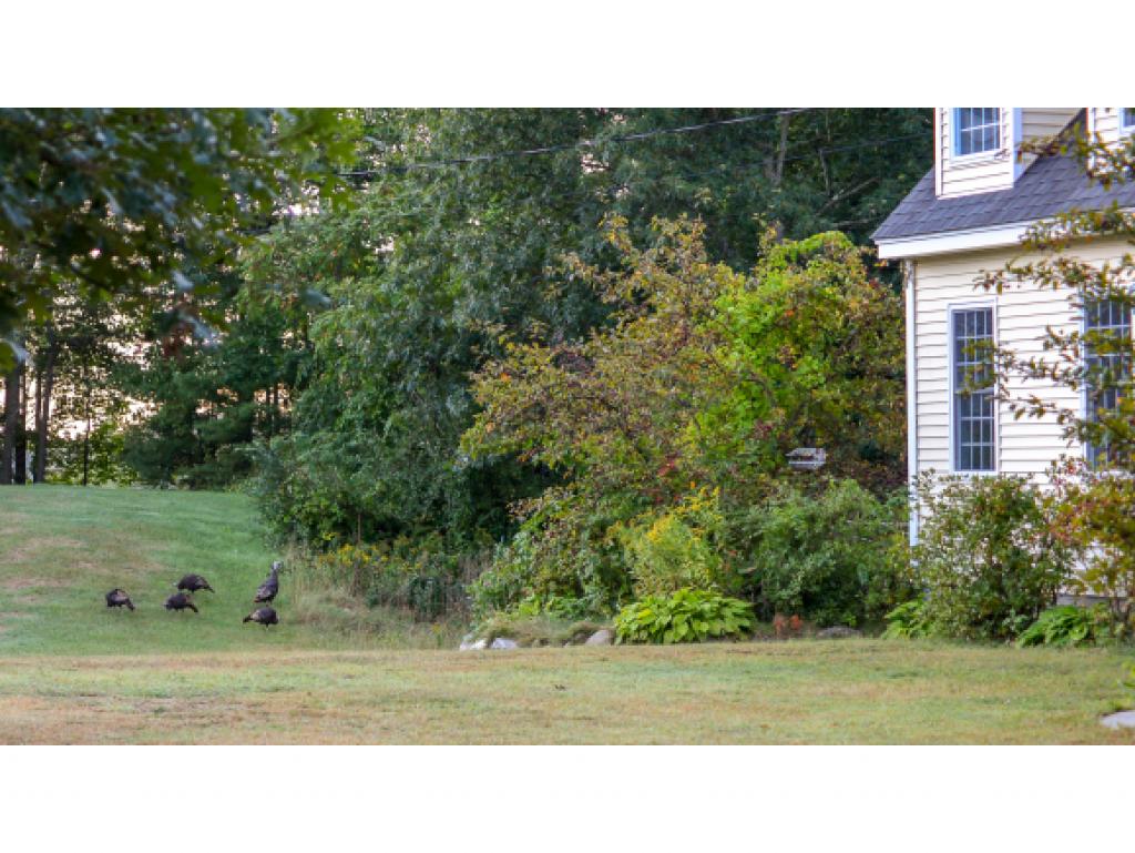 940 Dunbarton Road Manchester, NH 03102 - Photo 5 of 31
