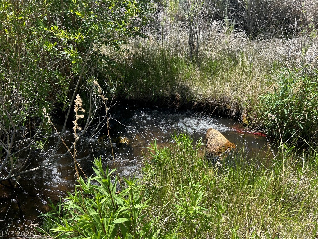 360 Mountain Creek Road Dyer, NV 89010 - Photo 12 of 23 A tranquil water feature meanders through the verdant landscape, a natural oasis for peace.