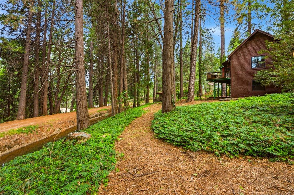 10085 Banner Lava Cap Road Nevada City, CA 95959 - Photo 46 of 59