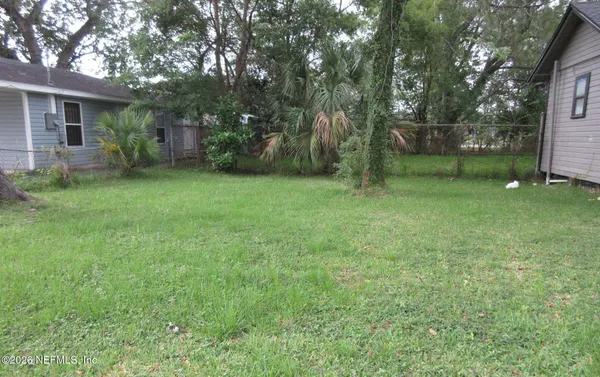 a backyard of a house with plants and large tree
