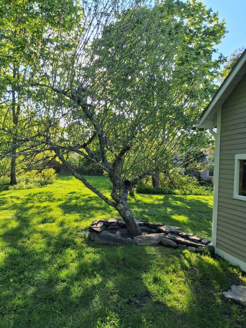 5 Penniman Road Bristol, ME 04554 - Photo 15 of 79 20260526_180047