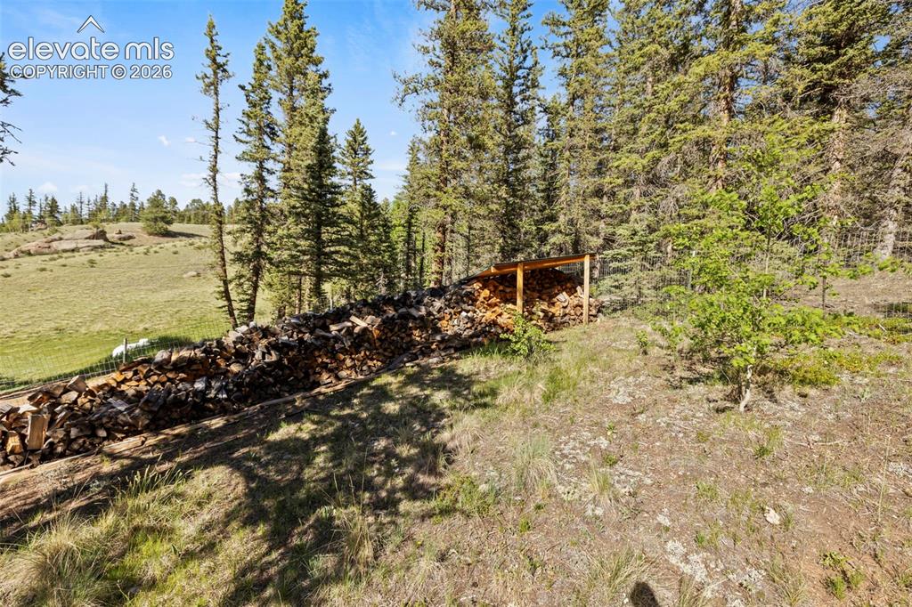 658 Conestoga Creek Road Florissant, CO 80816 - Photo 31 of 50