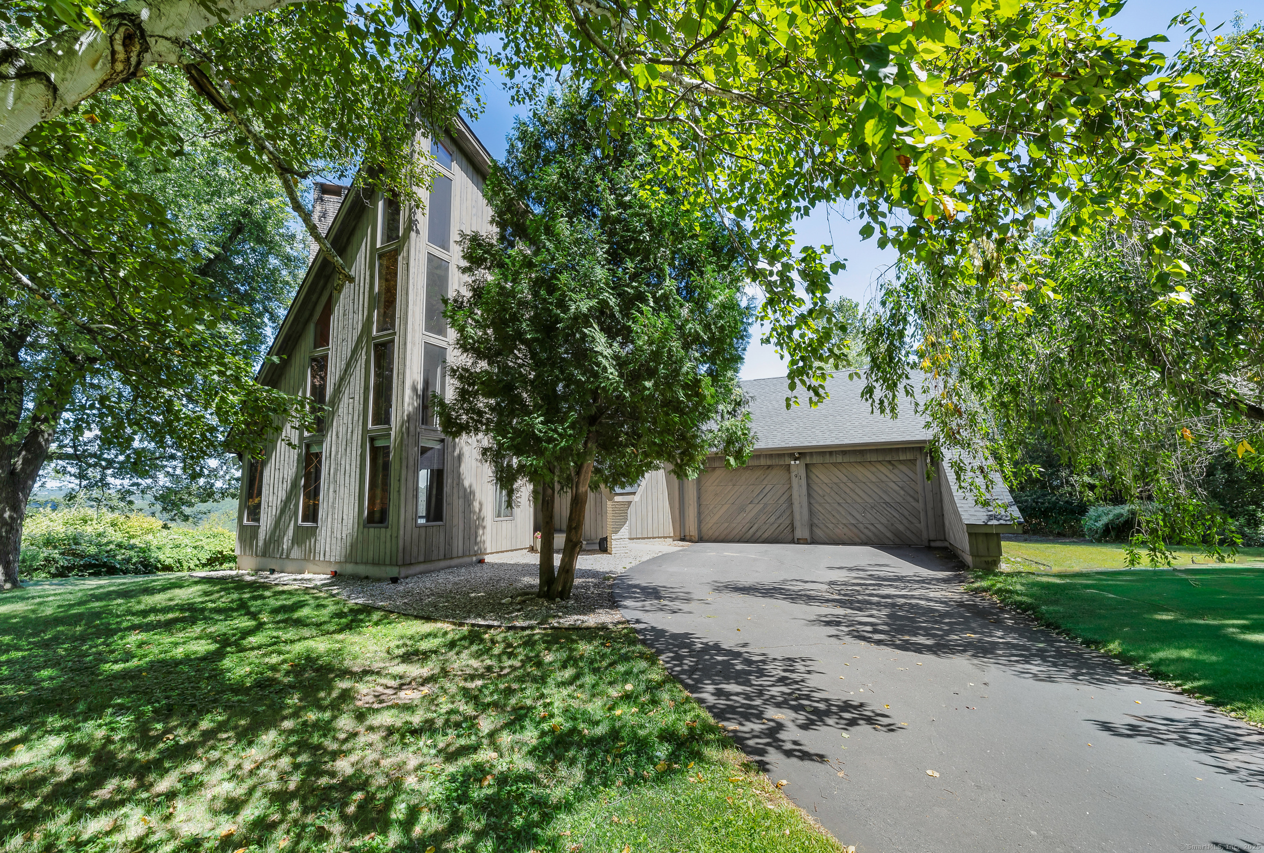 a view of a park with a plants and trees