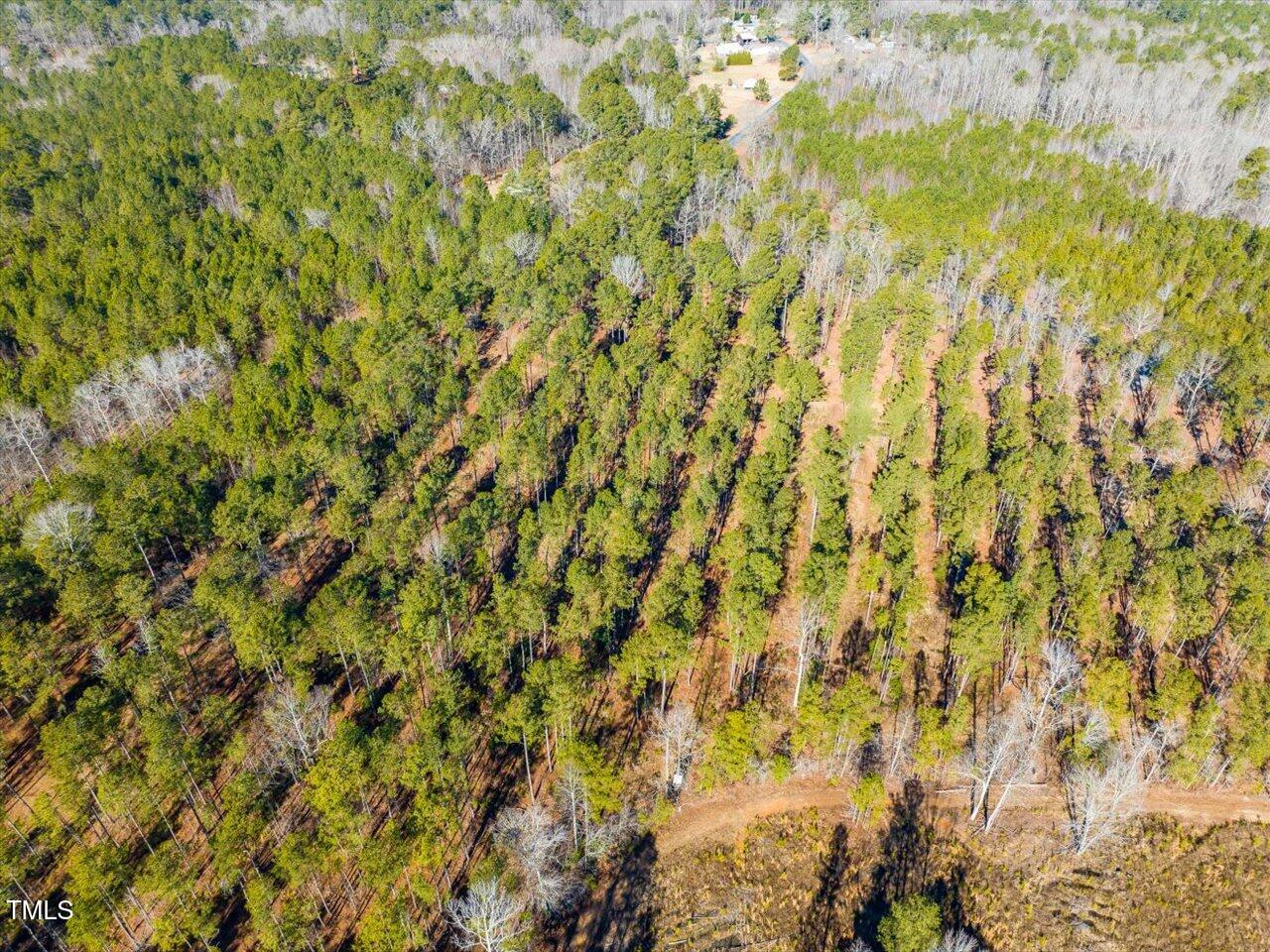 2 Robedo Rd Mount Mount Gilead, NC 27306 - Photo 8 of 28 08-008-Tract2-RobedoRd-MontgomeryCounty-
