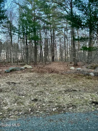 $399,000 | 420 Gifford Valley Road, Unit LOT 7, Northville, NY 12134