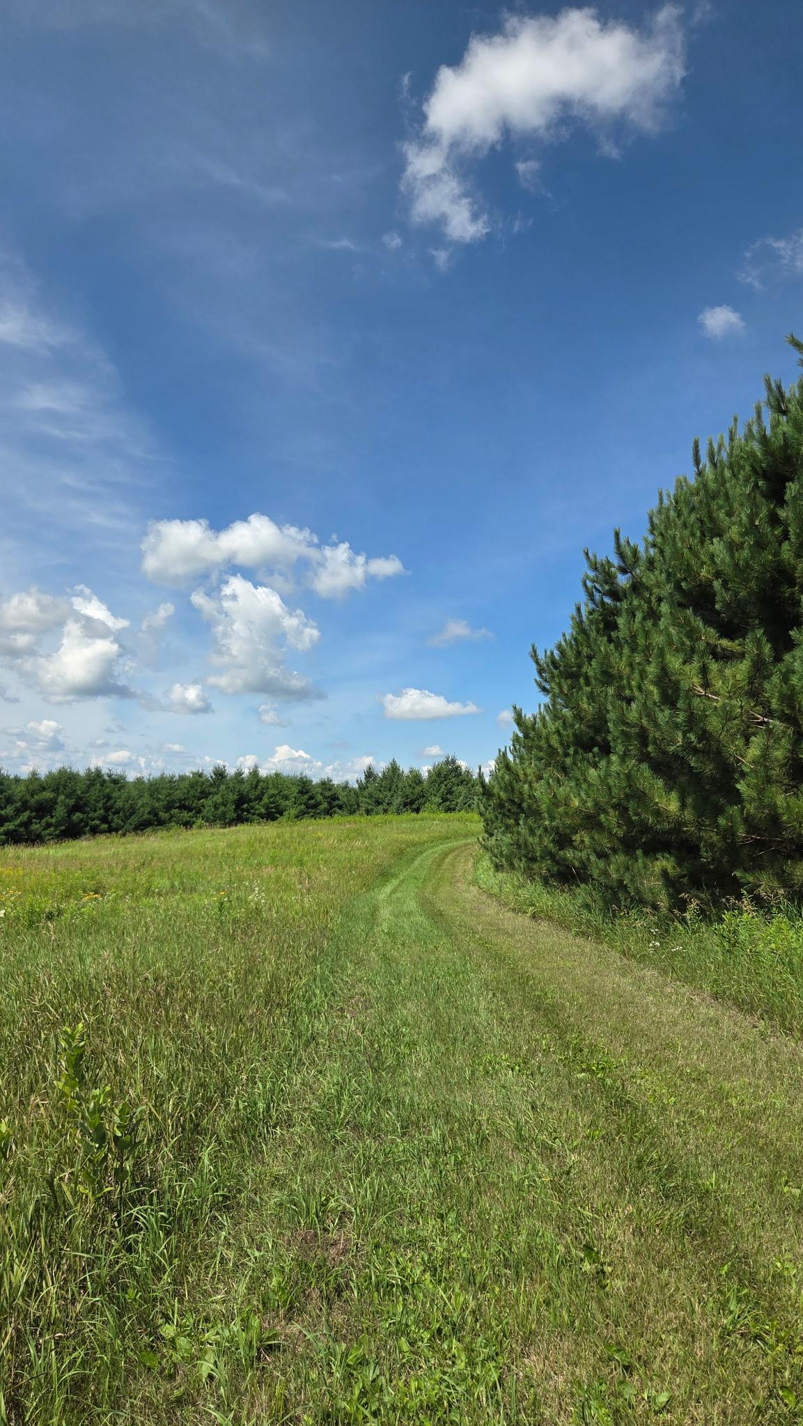 766 X 14th Avenue Almena, WI 54805 - Photo 62 of 63 Gallery Image 62