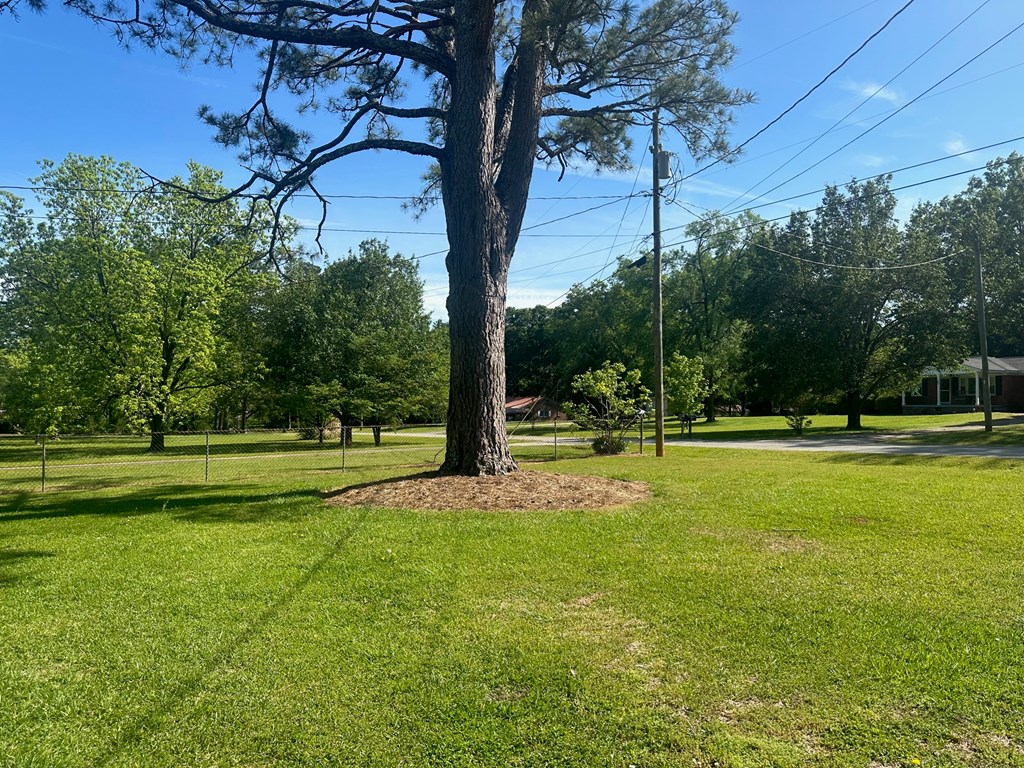 117 Keels Road East Hodges, SC 29653 - Photo 14 of 32 Gallery Image 14