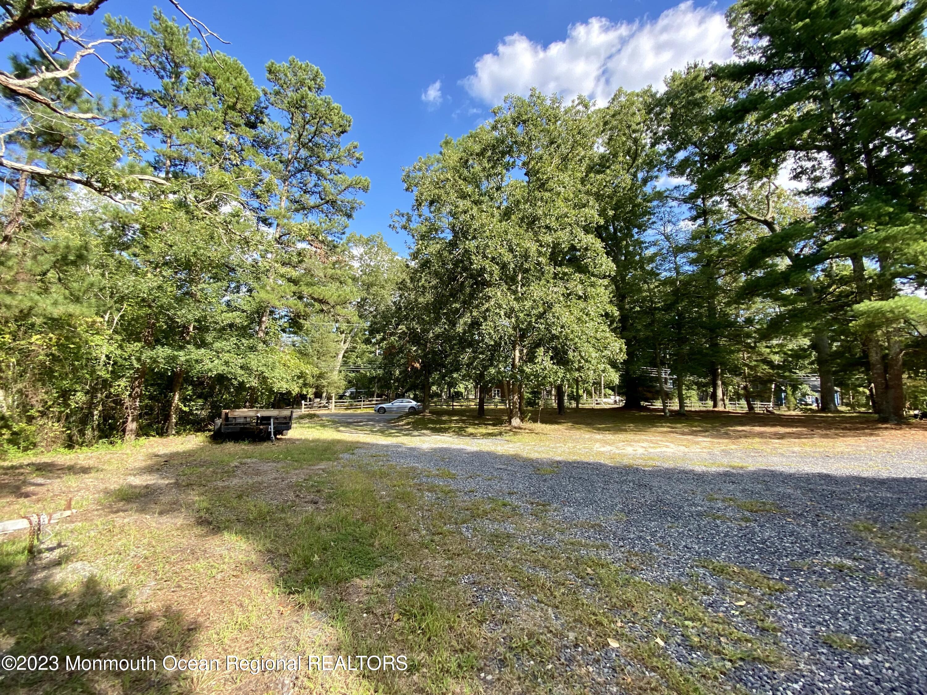 113 Maple Avenue Tuckerton, NJ 08087 - Photo 54 of 69 a view of a yard with a tree