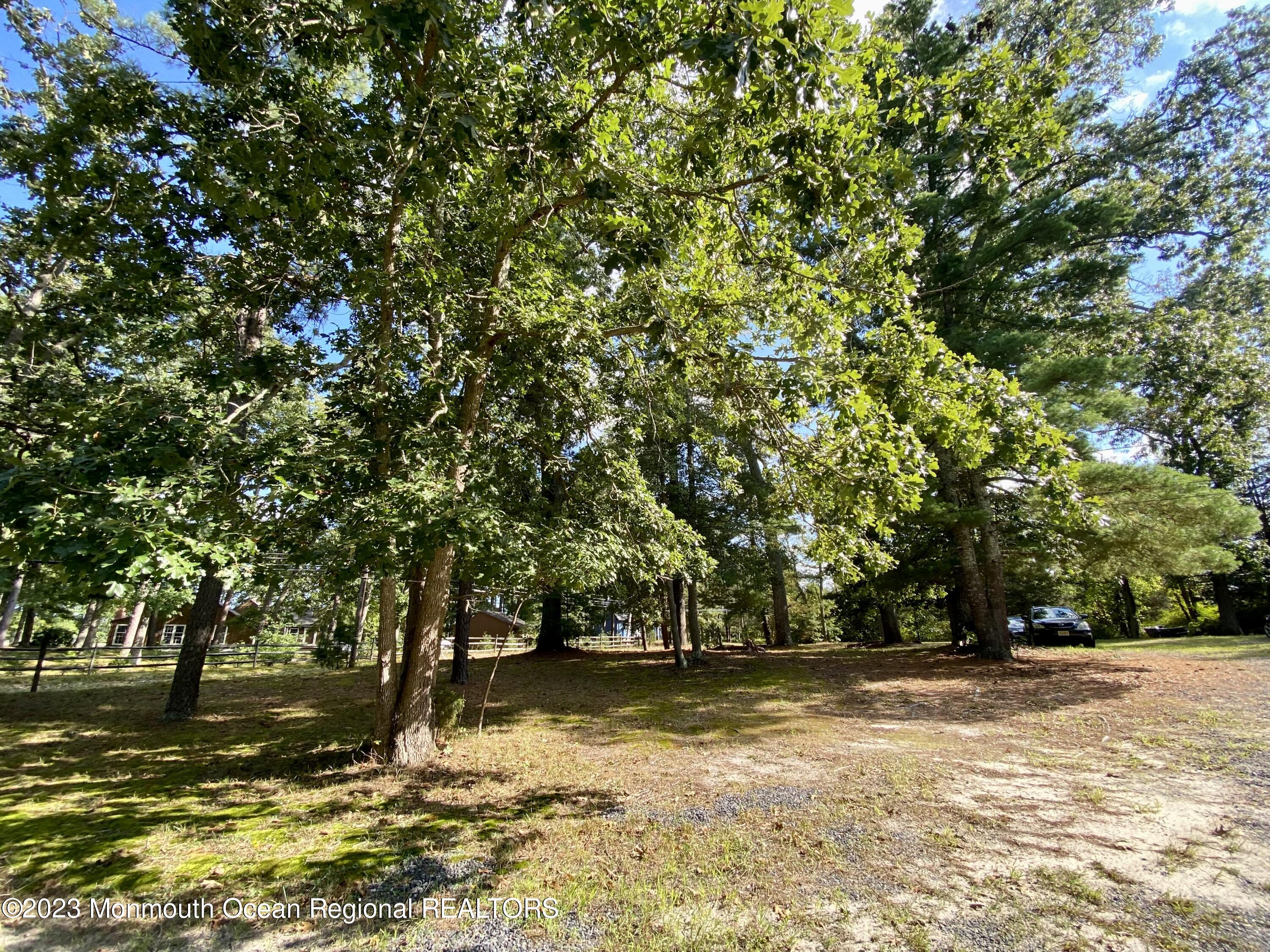 113 Maple Avenue Tuckerton, NJ 08087 - Photo 55 of 69 IMG_1647