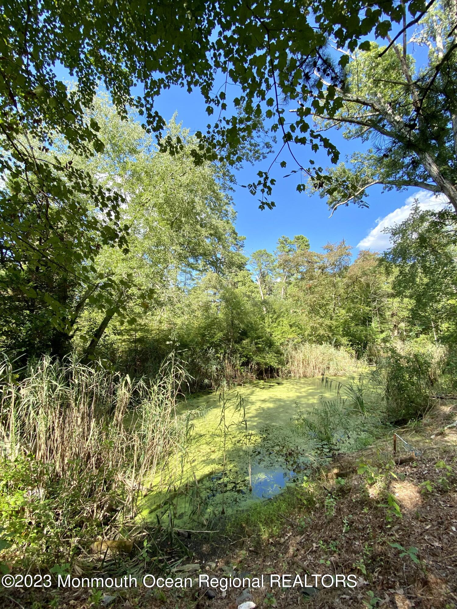 113 Maple Avenue Tuckerton, NJ 08087 - Photo 68 of 69 a view of a garden
