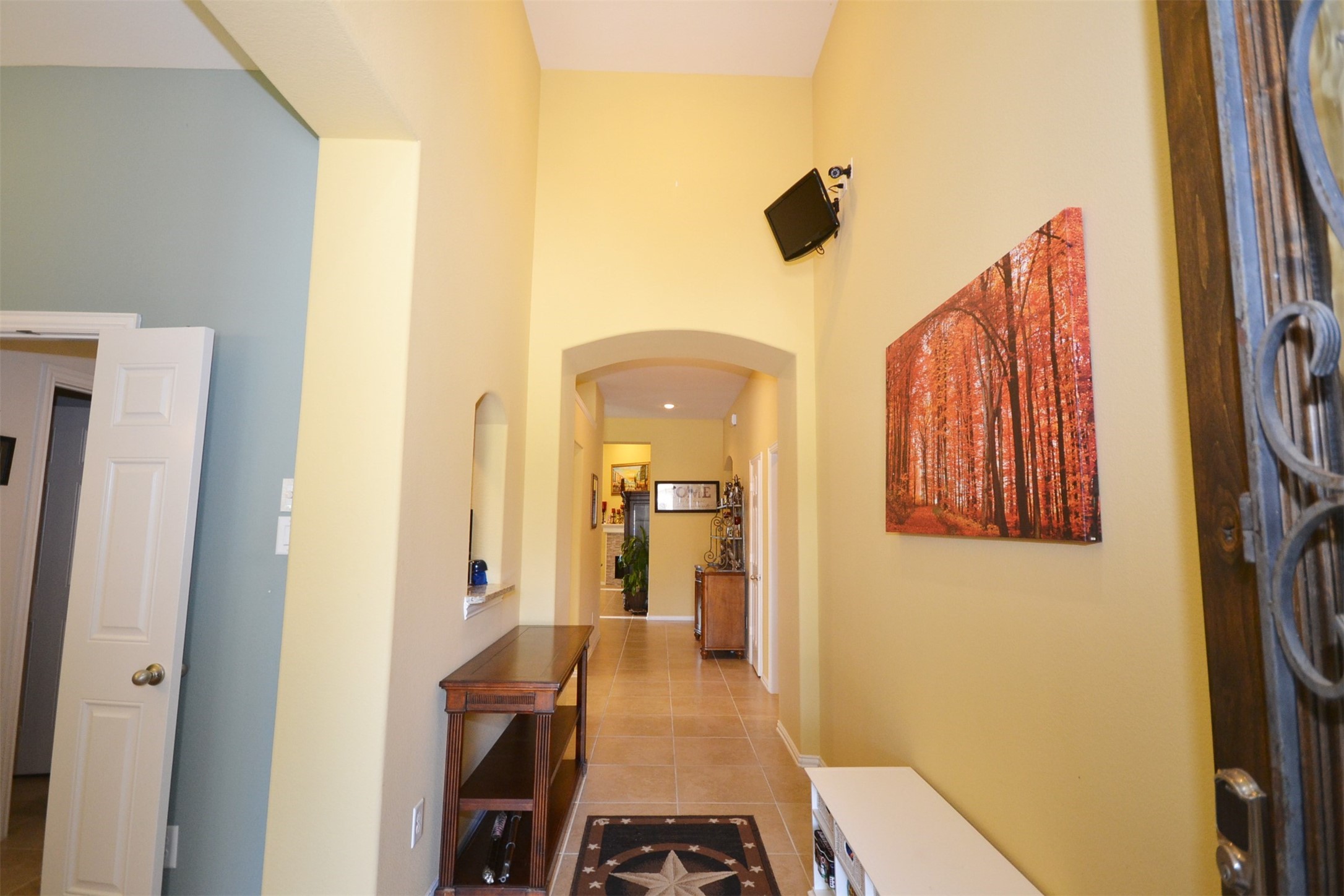 28907 Powder Ridge Drive Katy, TX 77494 - Photo 4 of 50
