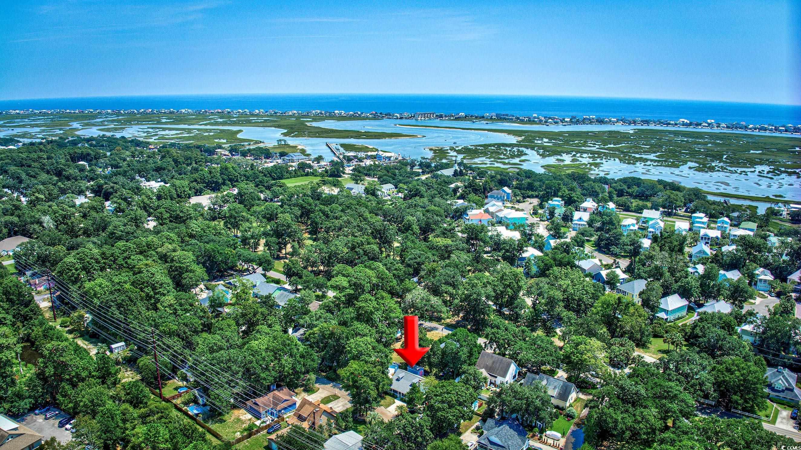 4261 Brook Drive Murrells Inlet, SC 29576 - Photo 29 of 39 Bird's eye view with a water view