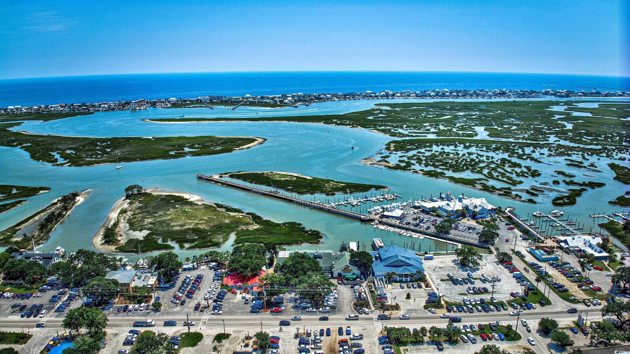 4261 Brook Drive Murrells Inlet, SC 29576 - Photo 32 of 39 Aerial view with a water view
