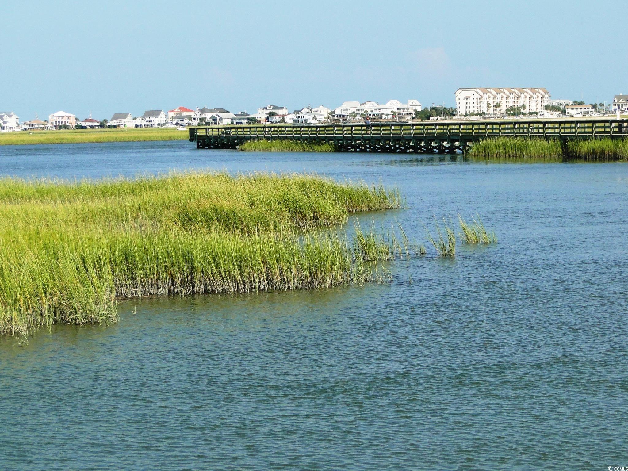 4261 Brook Drive Murrells Inlet, SC 29576 - Photo 33 of 39 Property view of water