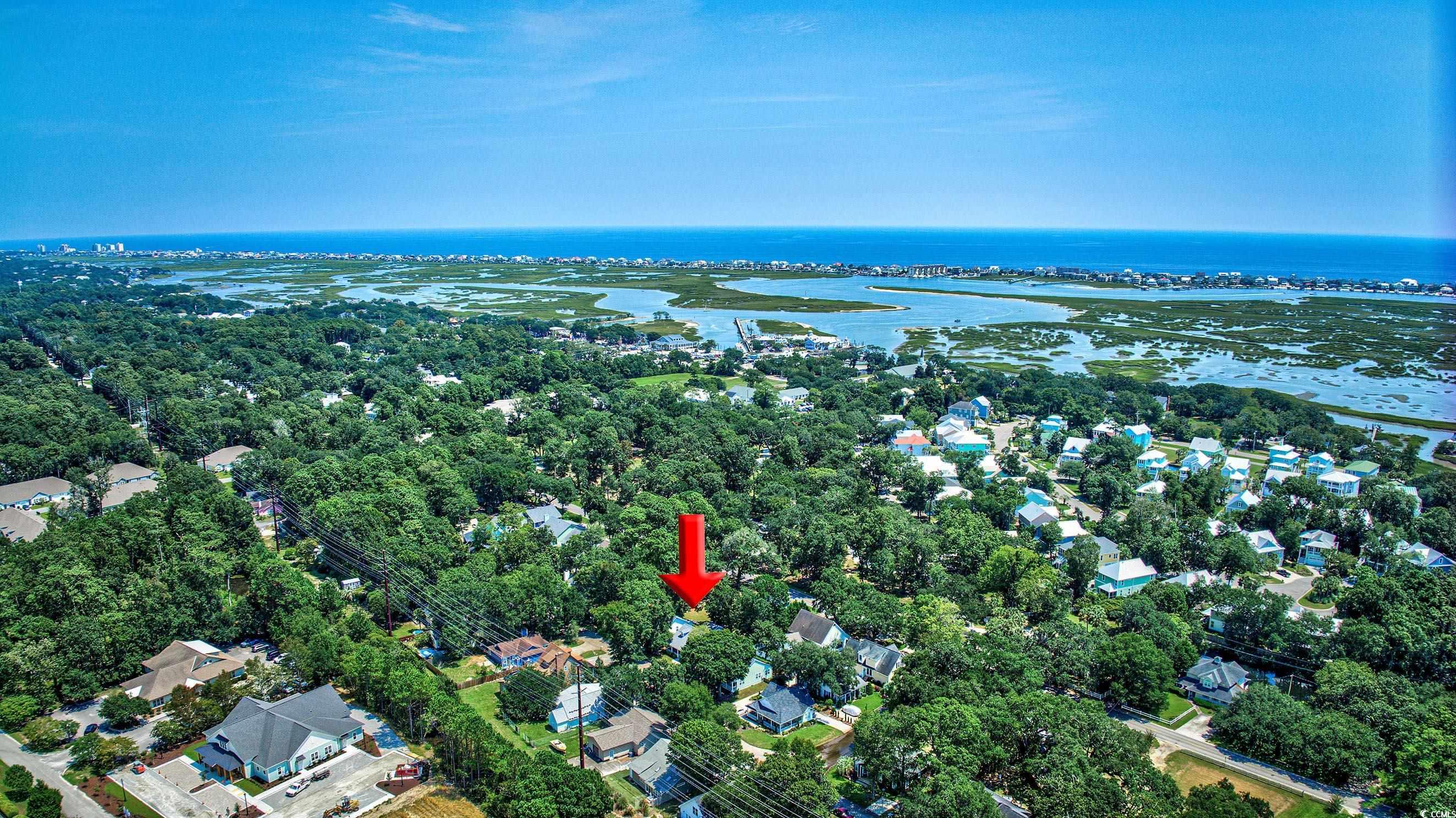 4261 Brook Drive Murrells Inlet, SC 29576 - Photo 4 of 39 Bird's eye view with a water view