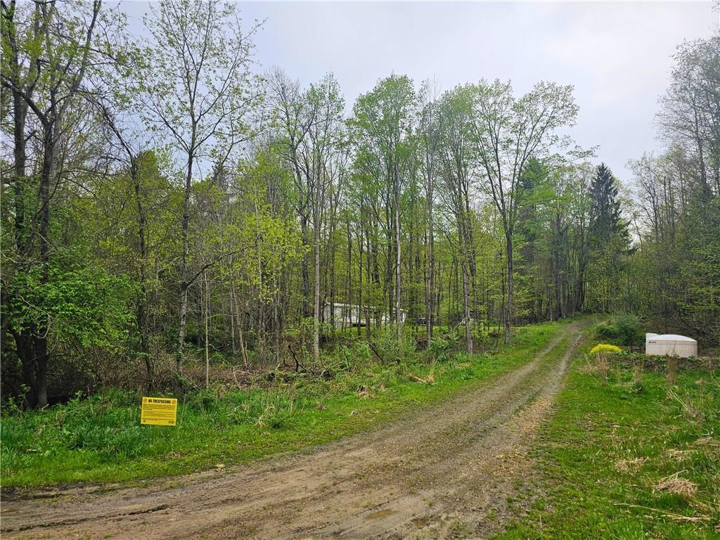 16619 John Brown Road Guys Mills, PA 16327 - Photo 18 of 23 Gallery Image 18