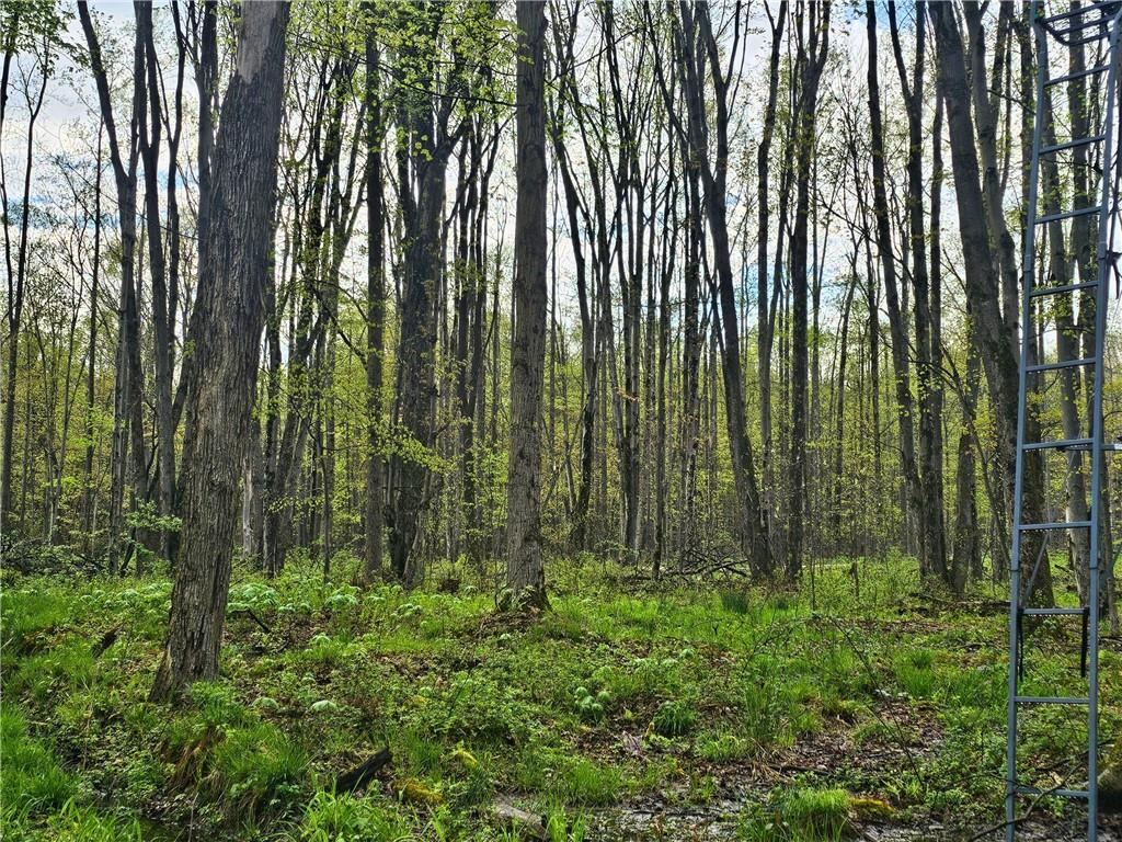 16619 John Brown Road Guys Mills, PA 16327 - Photo 20 of 23 Gallery Image 20