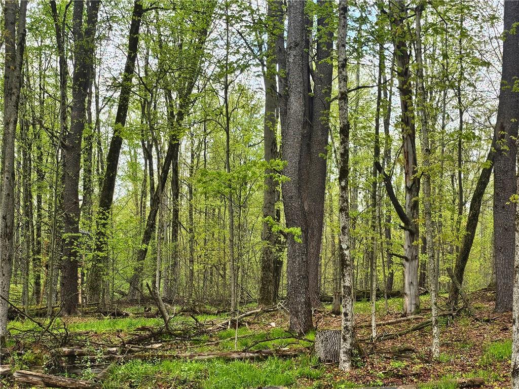 16619 John Brown Road Guys Mills, PA 16327 - Photo 22 of 23 Gallery Image 22