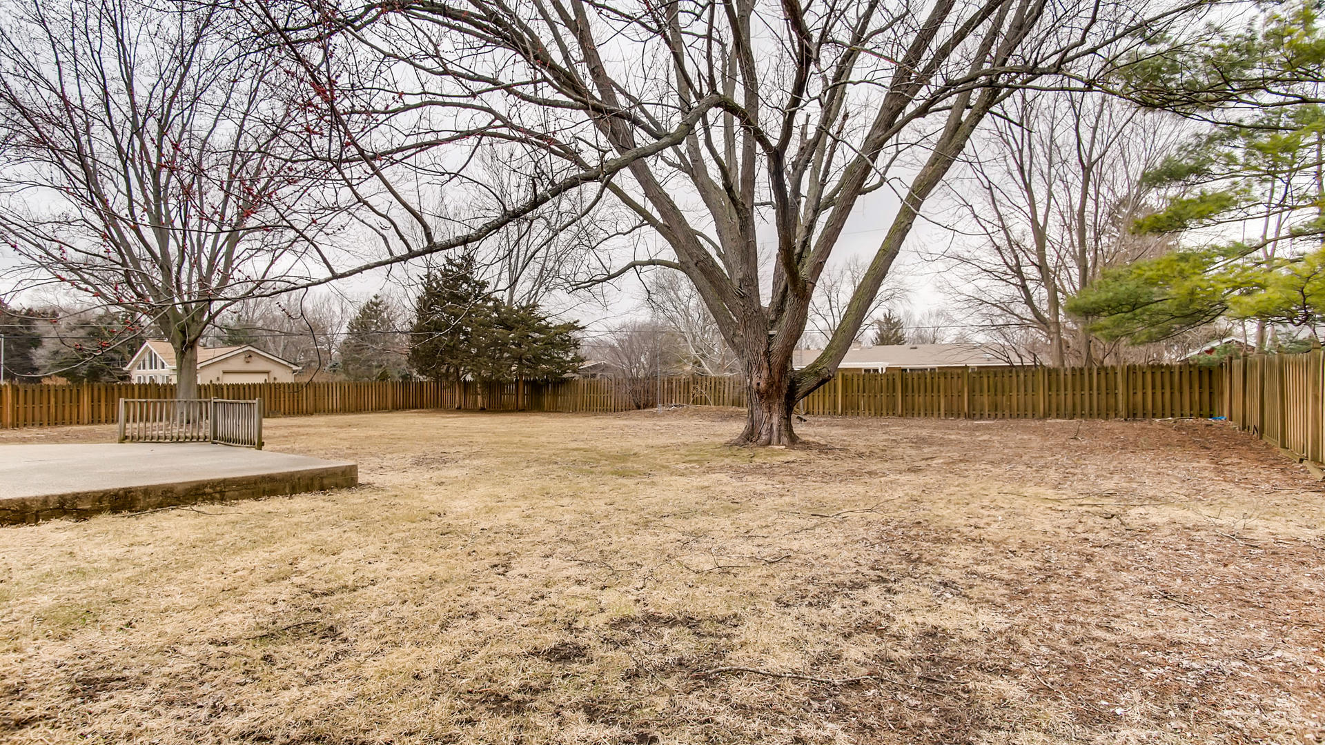 22W678 Poplar Road Glen Ellyn, IL 60137 - Photo 33 of 37 a view of yard covered with snow in front of house