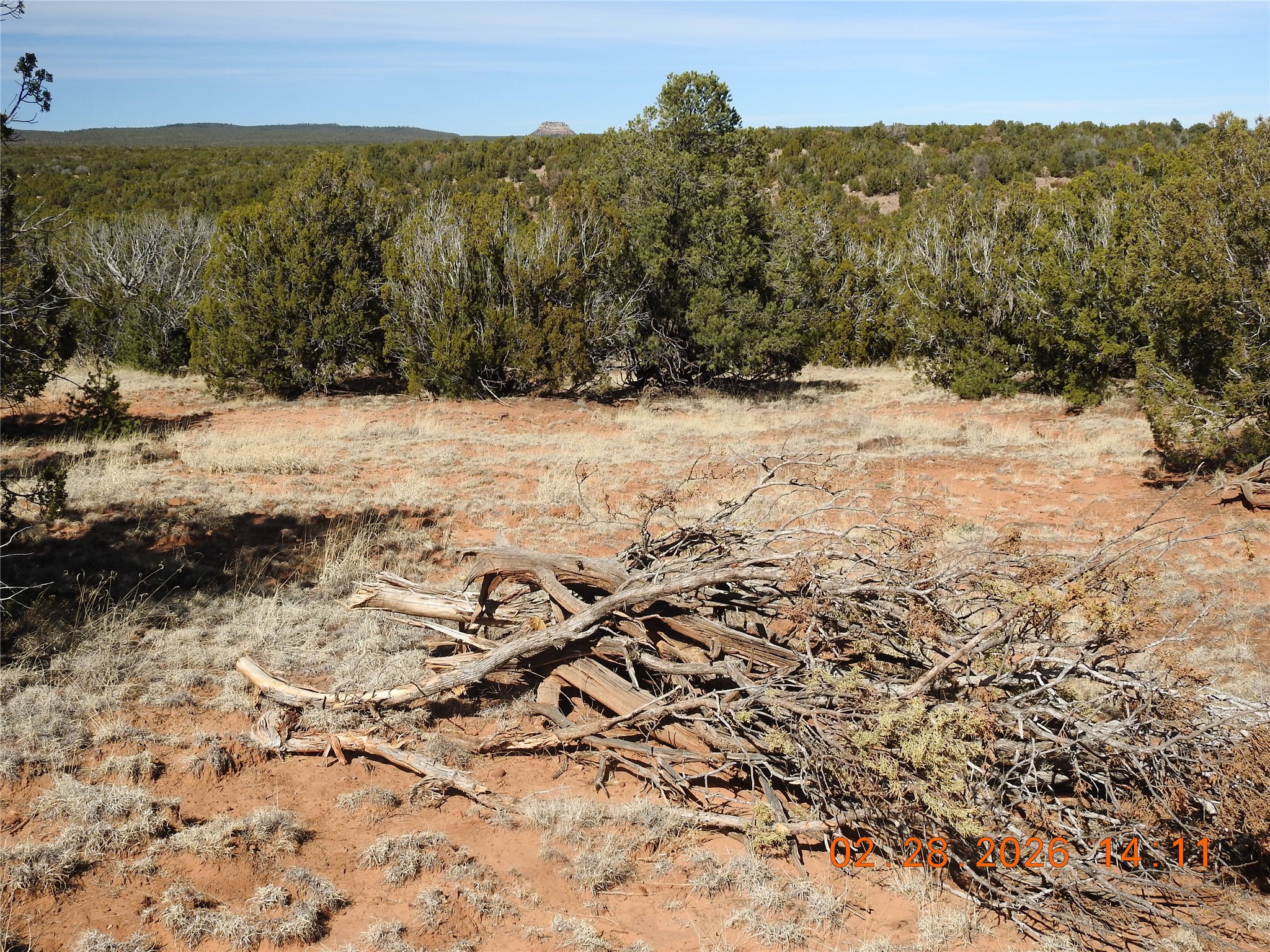 305 A Cr Ribera, NM 87560 - Photo 12 of 23