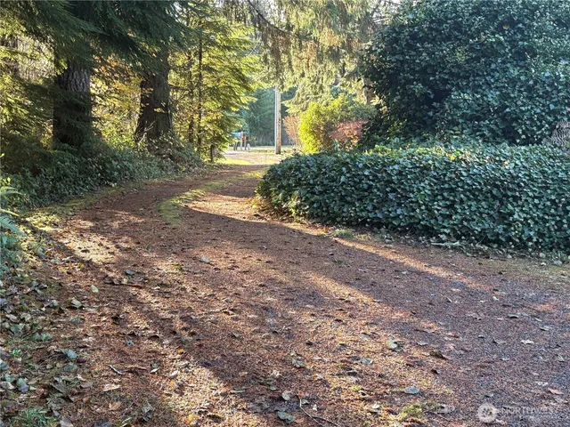 a view of a yard with plants and trees