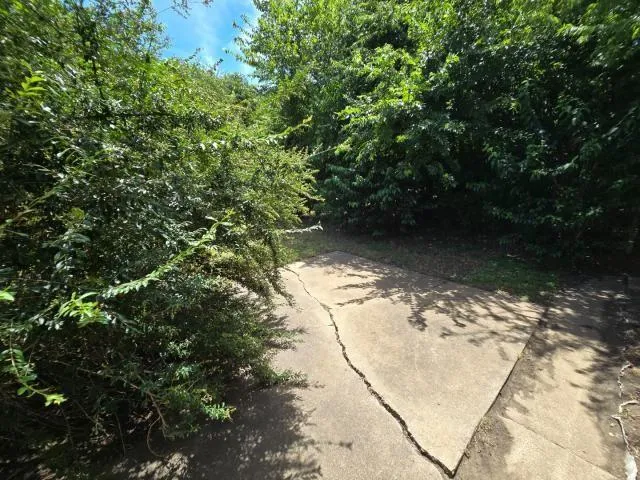 a view of a green yard with large trees