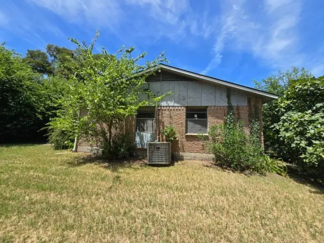a view of a yard with plants and trees