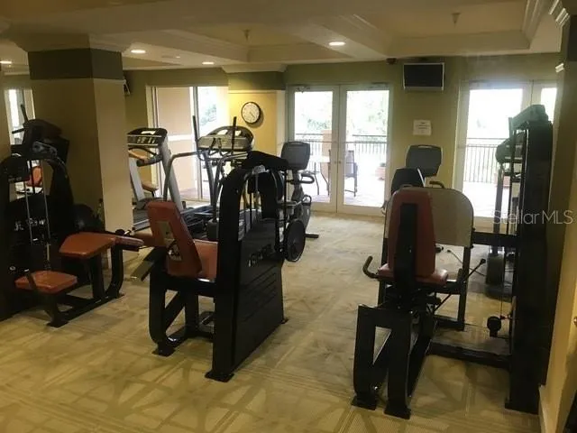 a view of a yard with palm trees