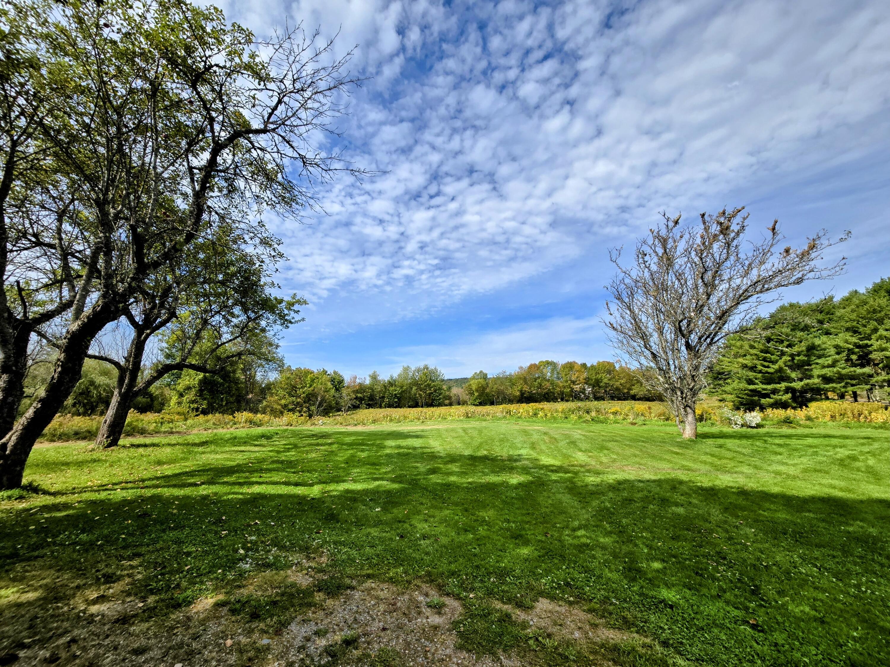 1079 Belfast Road Knox, ME 04986 - Photo 11 of 49 Backyard