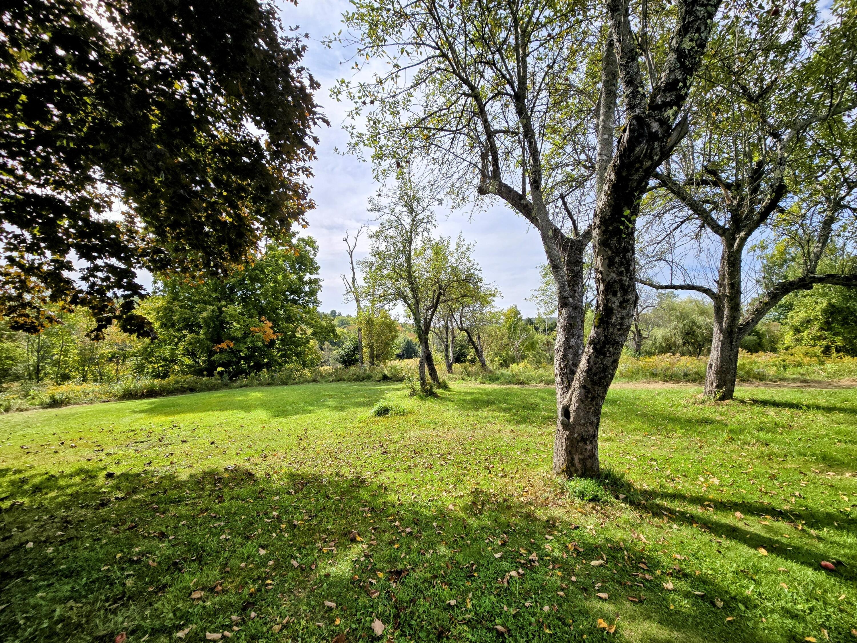 1079 Belfast Road Knox, ME 04986 - Photo 12 of 49 Backyard