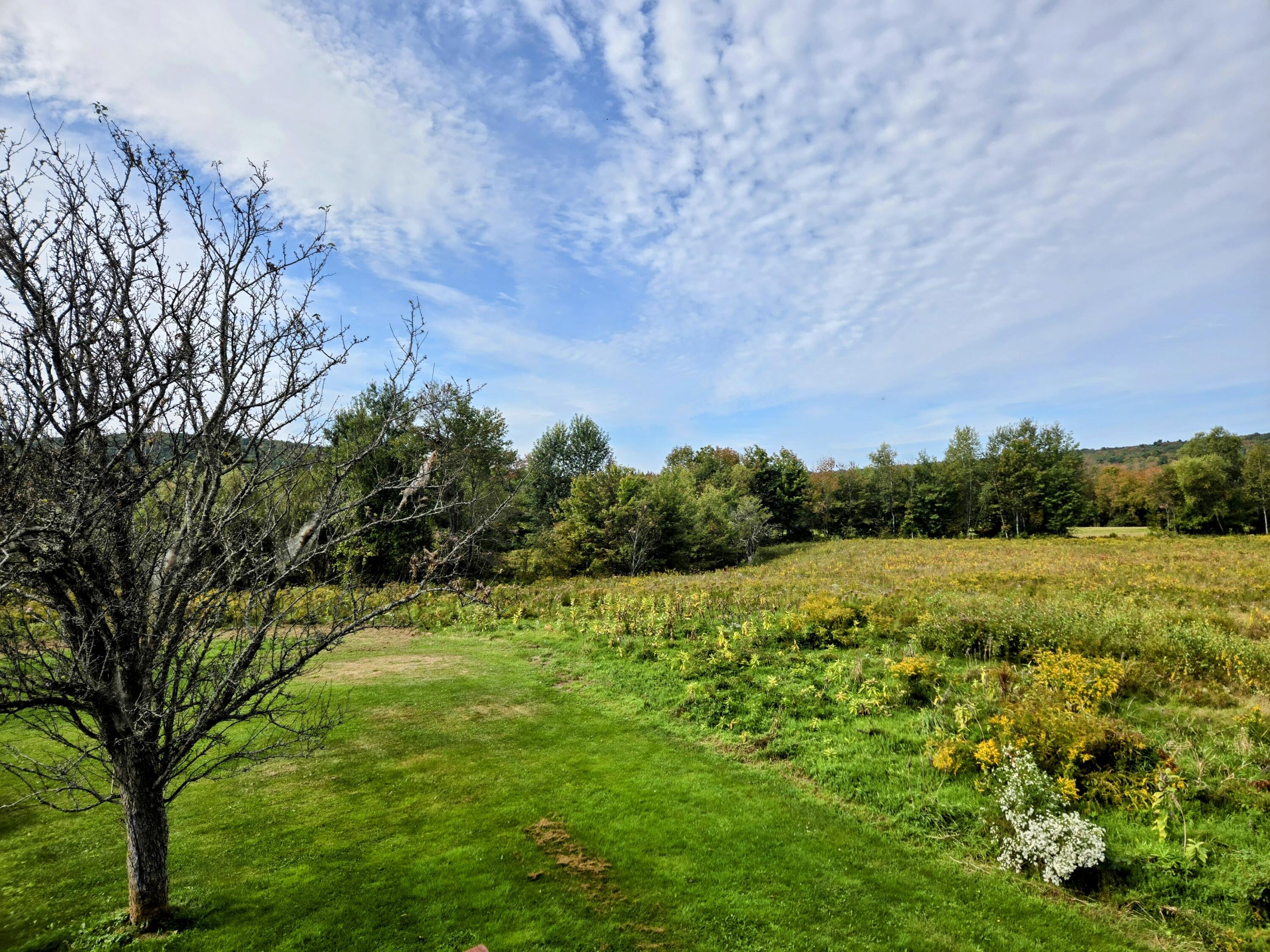 1079 Belfast Road Knox, ME 04986 - Photo 13 of 49 View of Field from Lawn