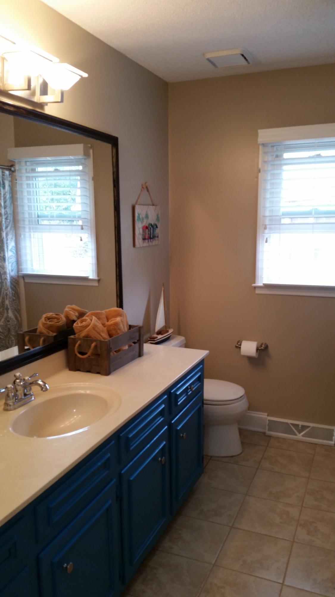 2974 Foxhall Road Charleston, SC 29414 - Photo 31 of 43 Guest bath 1