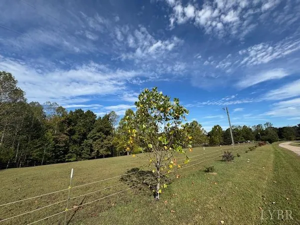 a view of a field of grass and trees
