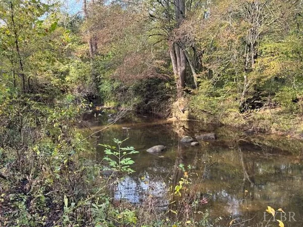 a view of a forest with a tree