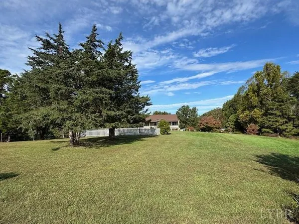 a view of a field with a tree in the background