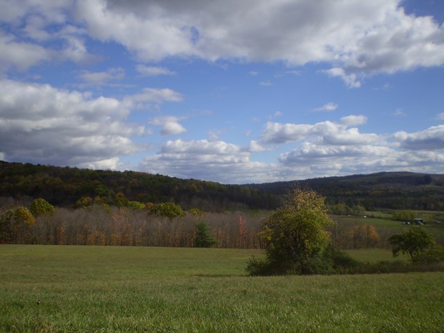 0 North Greenbush Road Erin, NY 14838 - Photo 1 of 1 Gallery Image 1