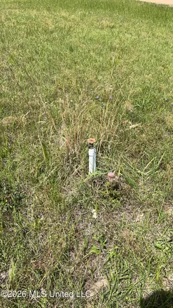 $595,000 | 0 Paul Truitt Lane, Pearl, MS 39208